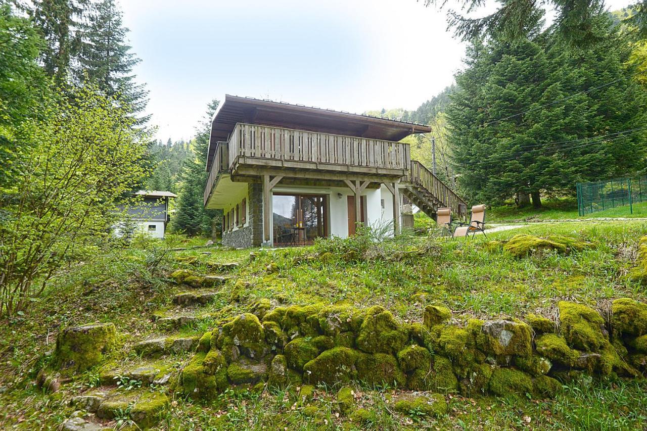 Le Schwarzwald - A Proximite Des Stations De Ski La Bresse Exterior foto